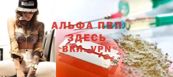 стафф Алзамай
