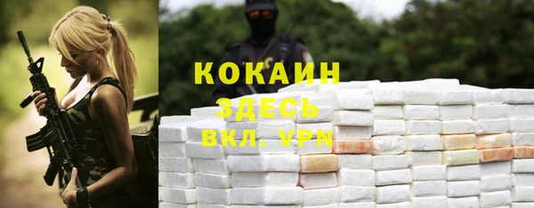 стафф Алексин