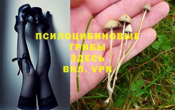 дурь Алексеевка