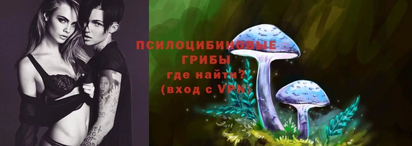 стафф Алзамай