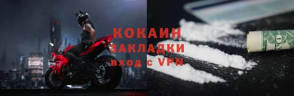 стафф Алзамай