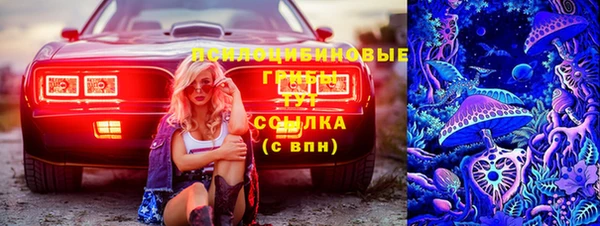 стафф Алзамай