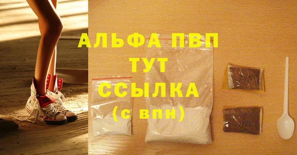 стафф Алексин