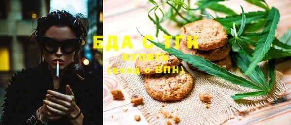 стафф Алексин