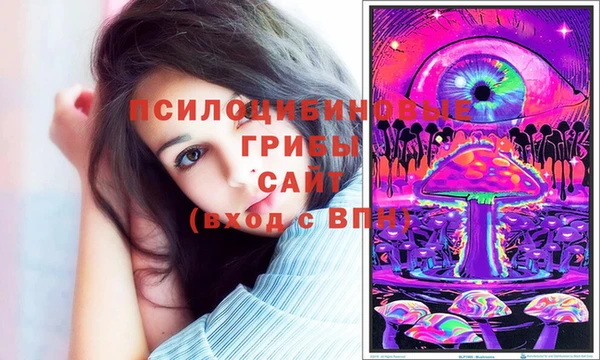 дурь Алексеевка