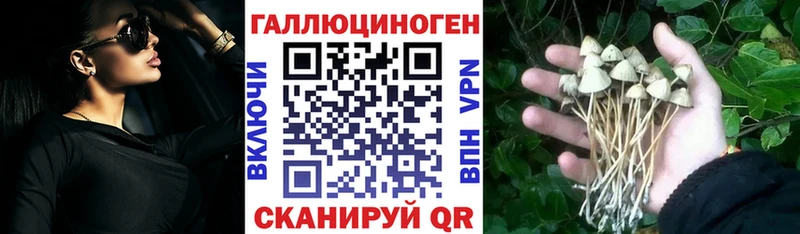 купить Черноголовка Галлюциногенные грибы Psilocybine cubensis